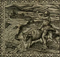 An illustration from Emblemata : et aliquot nummi antiqui operis (1566)