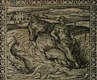 An illustration from Emblemata : et aliquot nummi antiqui operis (1566)