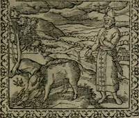 Picture 53 of 238 from Emblemata : et aliquot nummi antiqui operis (1566), leaf 60