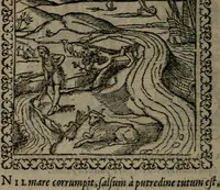 An illustration from Emblemata : et aliquot nummi antiqui operis (1566)