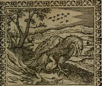 An illustration from Emblemata : et aliquot nummi antiqui operis (1566)