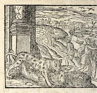 An illustration from Emblemata, et aliqvot nvmmi antiqvi operis, Ioan. Sambvci Tirnaviensis Pannonii (1584)