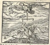Picture 4 of 26 from Emblemata, et aliqvot nvmmi antiqvi operis, Ioan. Sambvci Tirnaviensis Pannonii (1584), leaf 38
