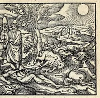 An illustration from Emblemata, et aliqvot nvmmi antiqvi operis, Ioan. Sambvci Tirnaviensis Pannonii (1584)