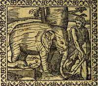 Picture 144 of 281 from Emblemata, et aliqvot nvmmi antiqvi operis (1566), leaf 161