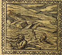 Picture 167 of 281 from Emblemata, et aliqvot nvmmi antiqvi operis (1566), leaf 185