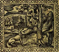 Picture 12 of 281 from Emblemata, et aliqvot nvmmi antiqvi operis (1566), leaf 19