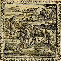 Picture 193 of 281 from Emblemata, et aliqvot nvmmi antiqvi operis (1566), leaf 214
