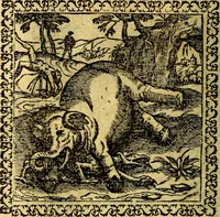 An illustration from Emblemata, et aliqvot nvmmi antiqvi operis (1566)