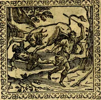 Picture 217 of 281 from Emblemata, et aliqvot nvmmi antiqvi operis (1566), leaf 238