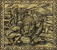 Picture 78 of 281 from Emblemata, et aliqvot nvmmi antiqvi operis (1566), leaf 88