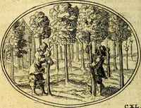 Picture 140 of 160 from Emblemata ethico-politica carmine explicata (1661), leaf 239