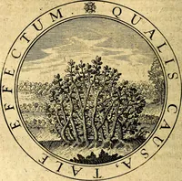 Picture 29 of 103 from Emblemata ethico politica. Ingenuâ at que eruditâ interpretatione nunc primùm illustrata (1669), leaf 63