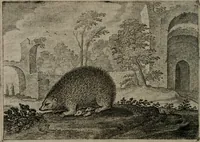 An illustration from Emblemata Florentii Schoonhovii I.C. Goudani : partim moralia partim etiam civilia : cum latiori eorundem ejusdem auctoris interpretatione : accedunt et alia quaedam poëmatia in alijs poematum suorum libris non contenta (1648)