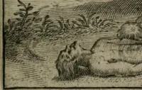 An illustration from Emblemata Florentii Schoonhovii I.C. Goudani : partim moralia partim etiam civilia : cum latiori eorundem ejusdem auctoris interpretatione : accedunt et alia quaedam poëmatia in alijs poematum suorum libris non contenta (1648)