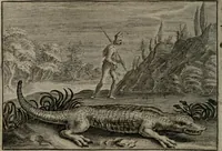 An illustration from Emblemata Florentii Schoonhovii I.C. Goudani : partim moralia partim etiam civilia : cum latiori eorundem ejusdem auctoris interpretatione : accedunt et alia quaedam poëmatia in alijs poematum suorum libris non contenta (1648)