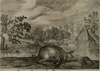 An illustration from Emblemata Florentii Schoonhovii I.C. Goudani : partim moralia partim etiam civilia : cum latiori eorundem ejusdem auctoris interpretatione : accedunt et alia quaedam poëmatia in alijs poematum suorum libris non contenta (1648)