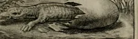 An illustration from Emblemata Florentii Schoonhovii I.C. Goudani : partim moralia partim etiam civilia : cum latiori eorundem ejusdem auctoris interpretatione : accedunt et alia quaedam poëmatia in alijs poematum suorum libris non contenta (1648)