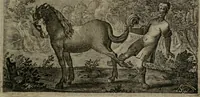 An illustration from Emblemata Florentii Schoonhovii I.C. Goudani : partim moralia partim etiam civilia : cum latiori eorundem ejusdem auctoris interpretatione : accedunt et alia quaedam poëmatia in alijs poematum suorum libris non contenta (1648)