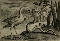 An illustration from Emblemata Florentii Schoonhovii I.C. Goudani : partim moralia partim etiam civilia : cum latiori eorundem ejusdem auctoris interpretatione : accedunt et alia quaedam poëmatia in alijs poematum suorum libris non contenta (1648)