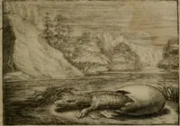 An illustration from Emblemata Florentii Schoonhovii I.C. Goudani, : partim moralia, partim etiam civilia. Cum latiori eorundem ejusdem auctoris interpretatione. (1618)