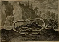 An illustration from Emblemata Florentii Schoonhovii I.C. Goudani, : partim moralia, partim etiam civilia. Cum latiori eorundem ejusdem auctoris interpretatione. (1618)
