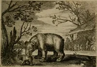 An illustration from Emblemata Florentii Schoonhovii I.C. Goudani, : partim moralia, partim etiam civilia. Cum latiori eorundem ejusdem auctoris interpretatione. (1618)