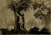 An illustration from Emblemata Florentii Schoonhovii I.C. Goudani, : partim moralia, partim etiam civilia. Cum latiori eorundem ejusdem auctoris interpretatione. (1618)