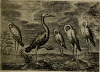 An illustration from Emblemata Florentii Schoonhovii I.C. Goudani, : partim moralia, partim etiam civilia. Cum latiori eorundem ejusdem auctoris interpretatione. (1618)
