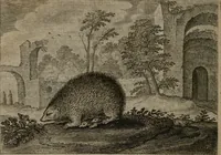 An illustration from Emblemata Florentii Schoonhovii I.C. Goudani, : partim moralia, partim etiam civilia. Cum latiori eorundem ejusdem auctoris interpretatione. (1618)