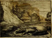 An illustration from Emblemata Florentii Schoonhovii, partim moralia, partim etiam civilia. Cum latiori eorundem ejusdem auctoris interpretatione. Accedunt et alia quædam poëmatia in alijs poëmatum suorum libris non contenta (1618)