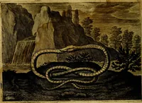 Picture 46 of 72 from Emblemata Florentii Schoonhovii, partim moralia, partim etiam civilia. Cum latiori eorundem ejusdem auctoris interpretatione. Accedunt et alia quædam poëmatia in alijs poëmatum suorum libris non contenta (1618), leaf 147
