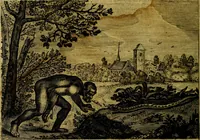 An illustration from Emblemata Florentii Schoonhovii, partim moralia, partim etiam civilia. Cum latiori eorundem ejusdem auctoris interpretatione. Accedunt et alia quædam poëmatia in alijs poëmatum suorum libris non contenta (1618)