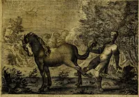 An illustration from Emblemata Florentii Schoonhovii, partim moralia, partim etiam civilia. Cum latiori eorundem ejusdem auctoris interpretatione. Accedunt et alia quædam poëmatia in alijs poëmatum suorum libris non contenta (1618)
