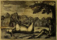 Picture 62 of 72 from Emblemata Florentii Schoonhovii, partim moralia, partim etiam civilia. Cum latiori eorundem ejusdem auctoris interpretatione. Accedunt et alia quædam poëmatia in alijs poëmatum suorum libris non contenta (1618), leaf 197