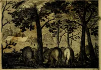 Picture 67 of 72 from Emblemata Florentii Schoonhovii, partim moralia, partim etiam civilia. Cum latiori eorundem ejusdem auctoris interpretatione. Accedunt et alia quædam poëmatia in alijs poëmatum suorum libris non contenta (1618), leaf 211