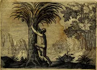 Picture 71 of 72 from Emblemata Florentii Schoonhovii, partim moralia, partim etiam civilia. Cum latiori eorundem ejusdem auctoris interpretatione. Accedunt et alia quædam poëmatia in alijs poëmatum suorum libris non contenta (1618), leaf 222