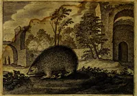 Picture 27 of 72 from Emblemata Florentii Schoonhovii, partim moralia, partim etiam civilia. Cum latiori eorundem ejusdem auctoris interpretatione. Accedunt et alia quædam poëmatia in alijs poëmatum suorum libris non contenta (1618), leaf 91