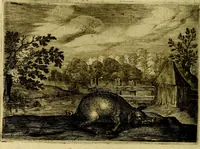 An illustration from Emblemata Florentii Schoonhovii, partim moralia, partim etiam civilia. Cum latiori eorundem ejusdem auctoris interpretatione. Accedunt et alia quædam poëmatia in alijs poëmatum suorum libris non contenta (1618)