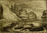 An illustration from Emblemata Florentii Schoonhovii, partim moralia, partim etiam civilia. Cum latiori eorundem ejusdem auctoris interpretatione. Accedunt et alia quædam poëmatia in alijs poëmatum suorum libris non contenta (1618)