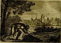 An illustration from Emblemata Florentii Schoonhovii, partim moralia, partim etiam civilia. Cum latiori eorundem ejusdem auctoris interpretatione. Accedunt et alia quædam poëmatia in alijs poëmatum suorum libris non contenta (1618)