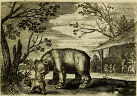 An illustration from Emblemata Florentii Schoonhovii, partim moralia, partim etiam civilia. Cum latiori eorundem ejusdem auctoris interpretatione. Accedunt et alia quædam poëmatia in alijs poëmatum suorum libris non contenta (1618)