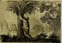 An illustration from Emblemata Florentii Schoonhovii, partim moralia, partim etiam civilia. Cum latiori eorundem ejusdem auctoris interpretatione. Accedunt et alia quædam poëmatia in alijs poëmatum suorum libris non contenta (1618)