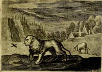 An illustration from Emblemata Florentii Schoonhovii, partim moralia, partim etiam civilia. Cum latiori eorundem ejusdem auctoris interpretatione. Accedunt et alia quædam poëmatia in alijs poëmatum suorum libris non contenta (1618)