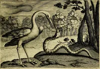 An illustration from Emblemata Florentii Schoonhovii, partim moralia, partim etiam civilia. Cum latiori eorundem ejusdem auctoris interpretatione. Accedunt et alia quædam poëmatia in alijs poëmatum suorum libris non contenta (1618)