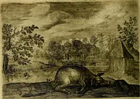 Picture 47 of 80 from Emblemata Florentii Schoonhovii ... partim moralia partim etiam civilia. Cum latiori eorundem ejusdem Auctoris interpretatione. Accedunt et alia quaedam poëmatia in alijs poem̈atum suonum libris non contenta (1648), leaf 143