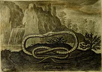 Picture 52 of 80 from Emblemata Florentii Schoonhovii ... partim moralia partim etiam civilia. Cum latiori eorundem ejusdem Auctoris interpretatione. Accedunt et alia quaedam poëmatia in alijs poem̈atum suonum libris non contenta (1648), leaf 157