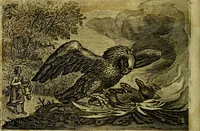 An illustration from Emblemata Florentii Schoonhovii ... partim moralia partim etiam civilia. Cum latiori eorundem ejusdem Auctoris interpretatione. Accedunt et alia quaedam poëmatia in alijs poem̈atum suonum libris non contenta (1648)