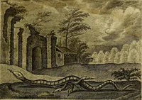 Picture 56 of 80 from Emblemata Florentii Schoonhovii ... partim moralia partim etiam civilia. Cum latiori eorundem ejusdem Auctoris interpretatione. Accedunt et alia quaedam poëmatia in alijs poem̈atum suonum libris non contenta (1648), leaf 168