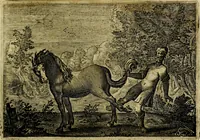 An illustration from Emblemata Florentii Schoonhovii ... partim moralia partim etiam civilia. Cum latiori eorundem ejusdem Auctoris interpretatione. Accedunt et alia quaedam poëmatia in alijs poem̈atum suonum libris non contenta (1648)